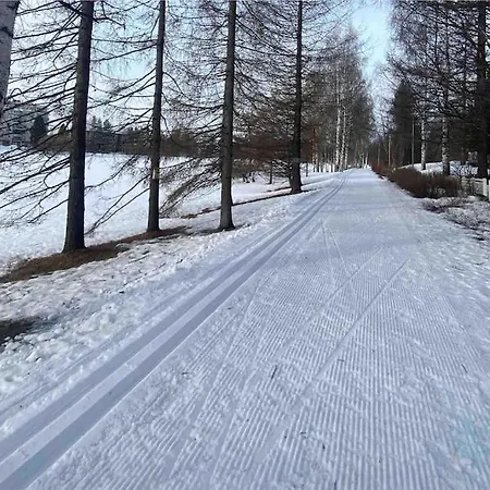 Peaceful With Sauna & Balcony Lejlighed Rovaniemi