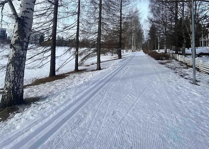 Peaceful With Sauna & Balcony アパート ロヴァニエミ